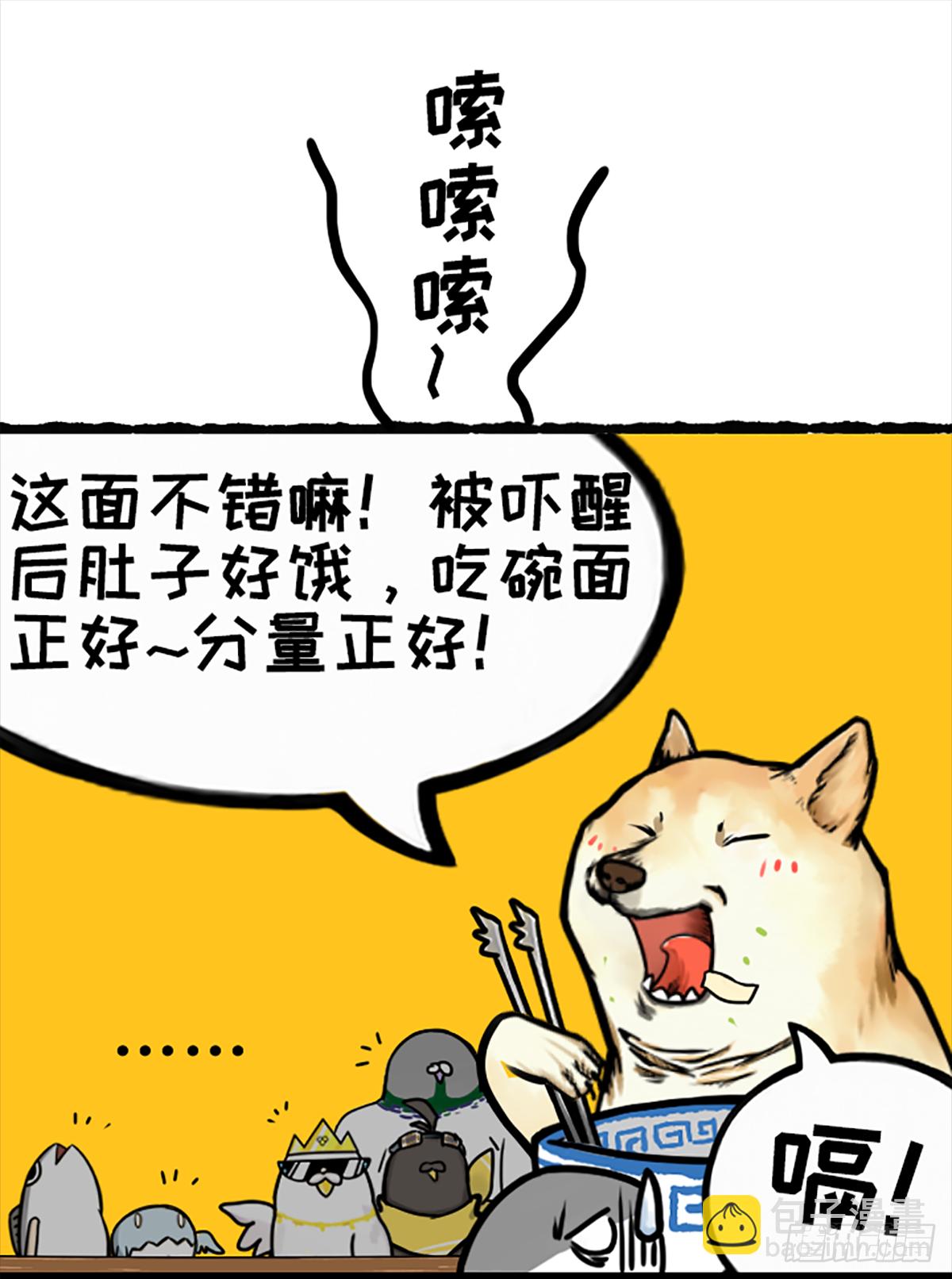 鸽你太美，来碗宽面-第41话