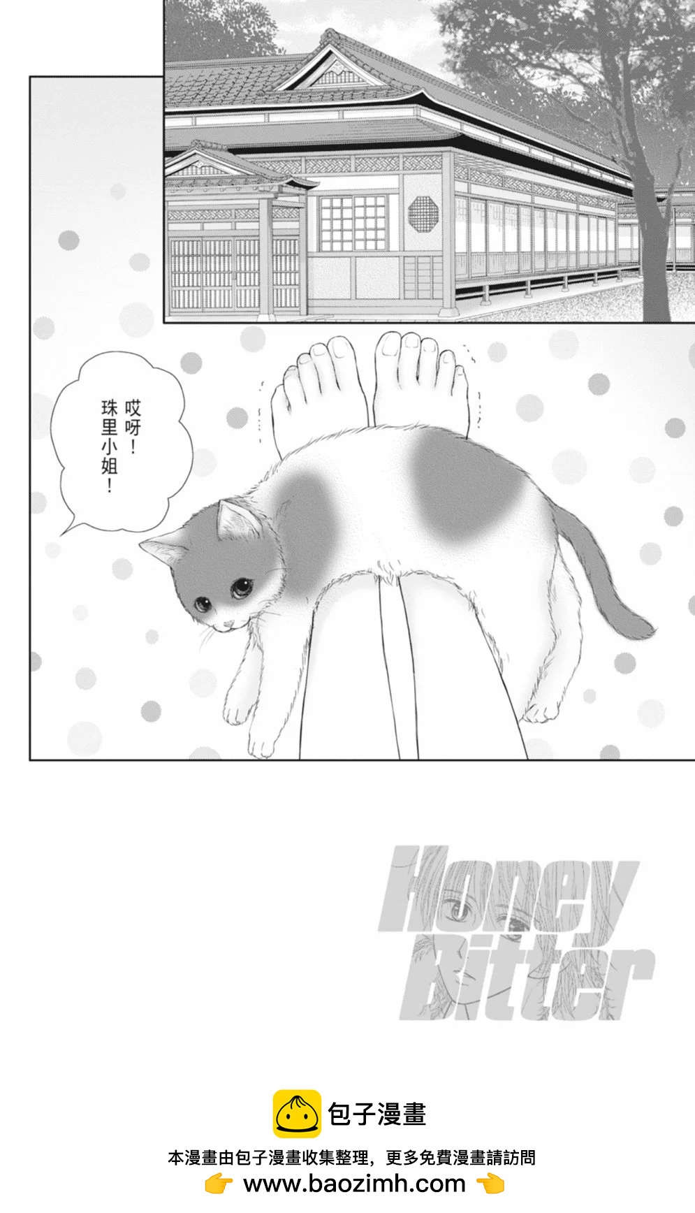 苦涩的甜蜜Honey Bitter - 第14卷(3/5) - 6