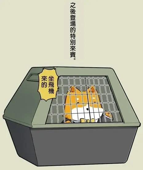 拉包尔基地的柴犬提督和舰娘们的日常 - 后日谈02 - 3