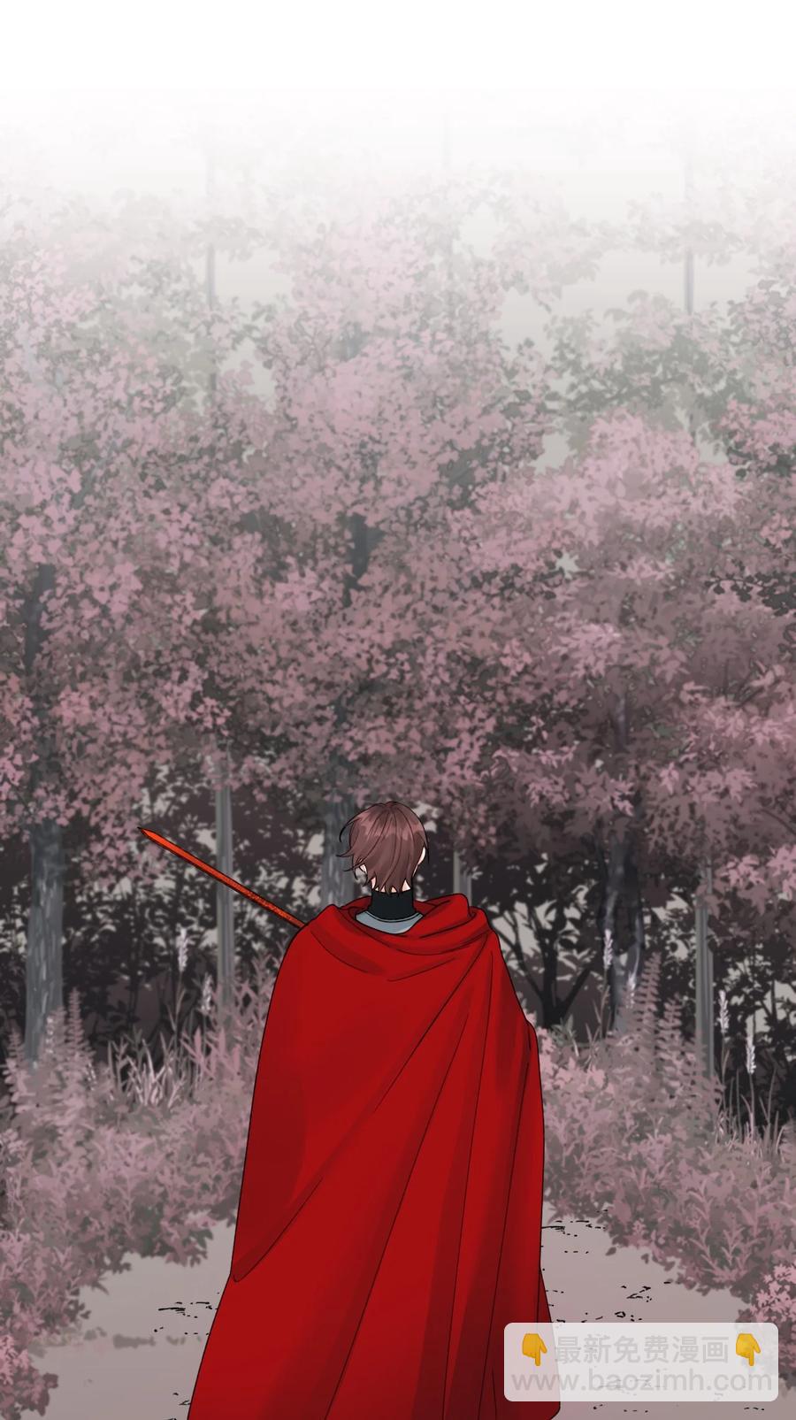 48 诡异的剑(1/2)-第49话