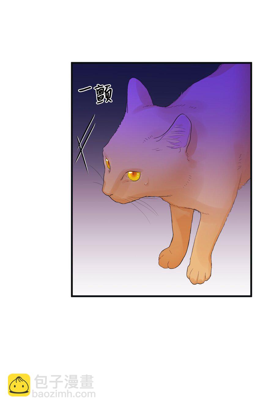 73 操心的伊格尼(1/2)-第75话