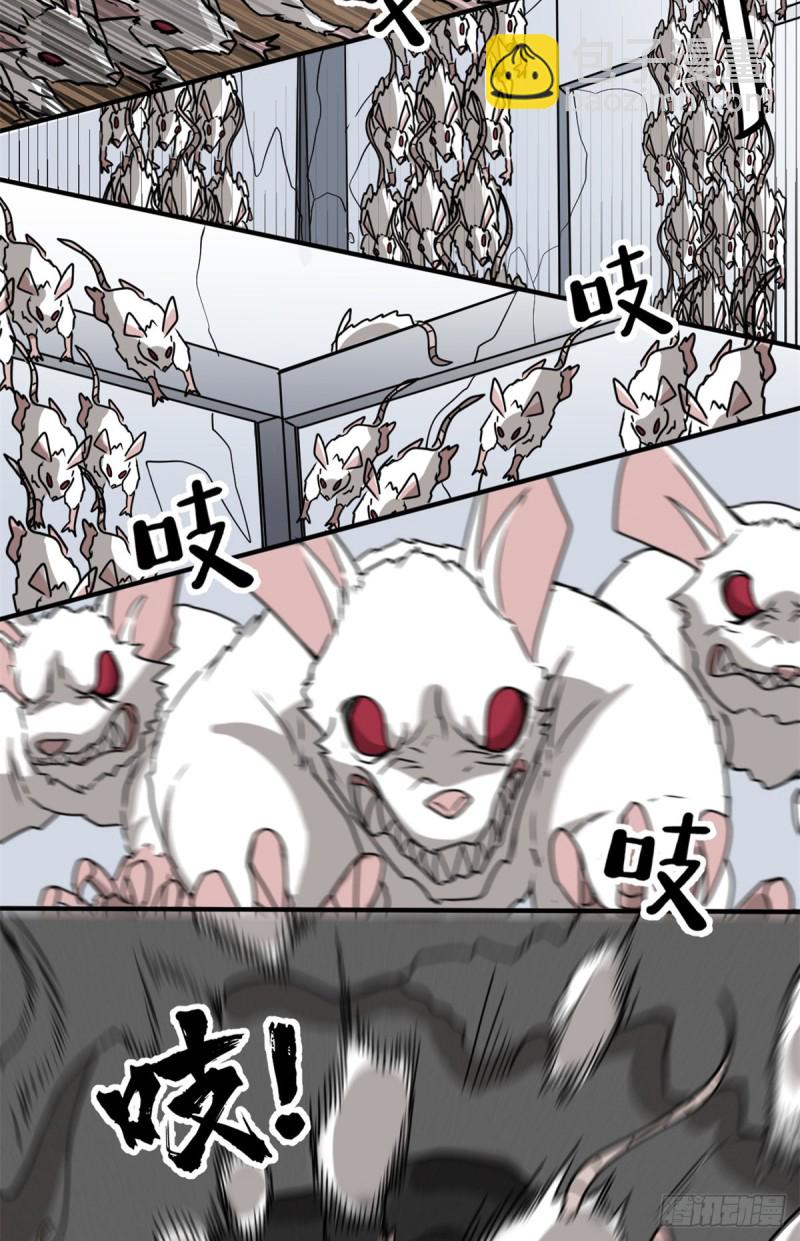 57 疯狂的老鼠(1/2)-第57话