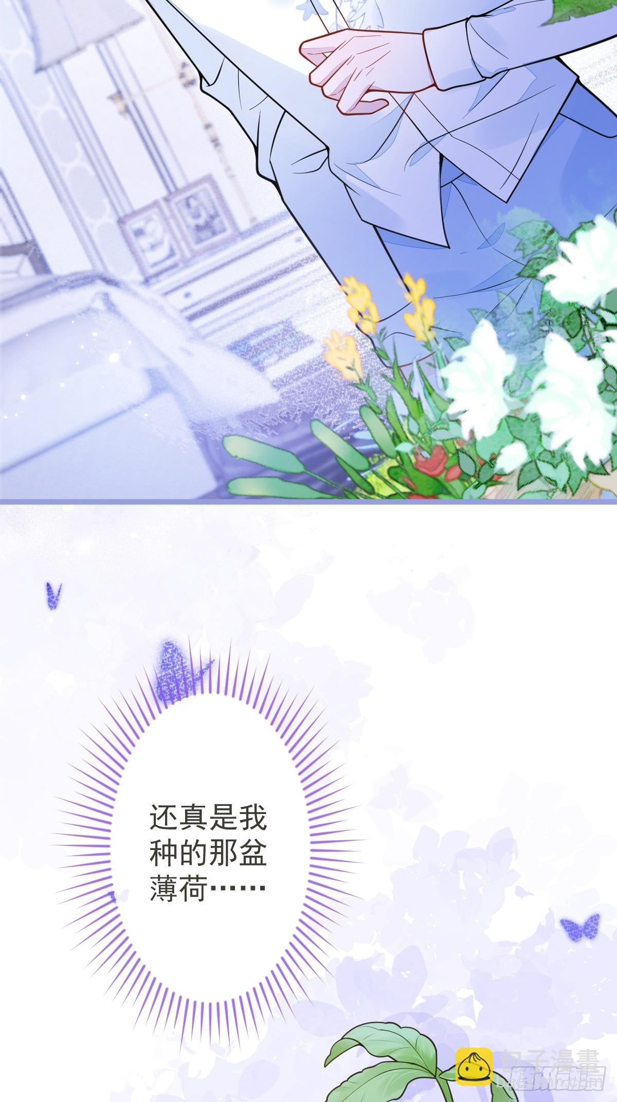 狼的報恩 - 12-花孔雀。 - 7
