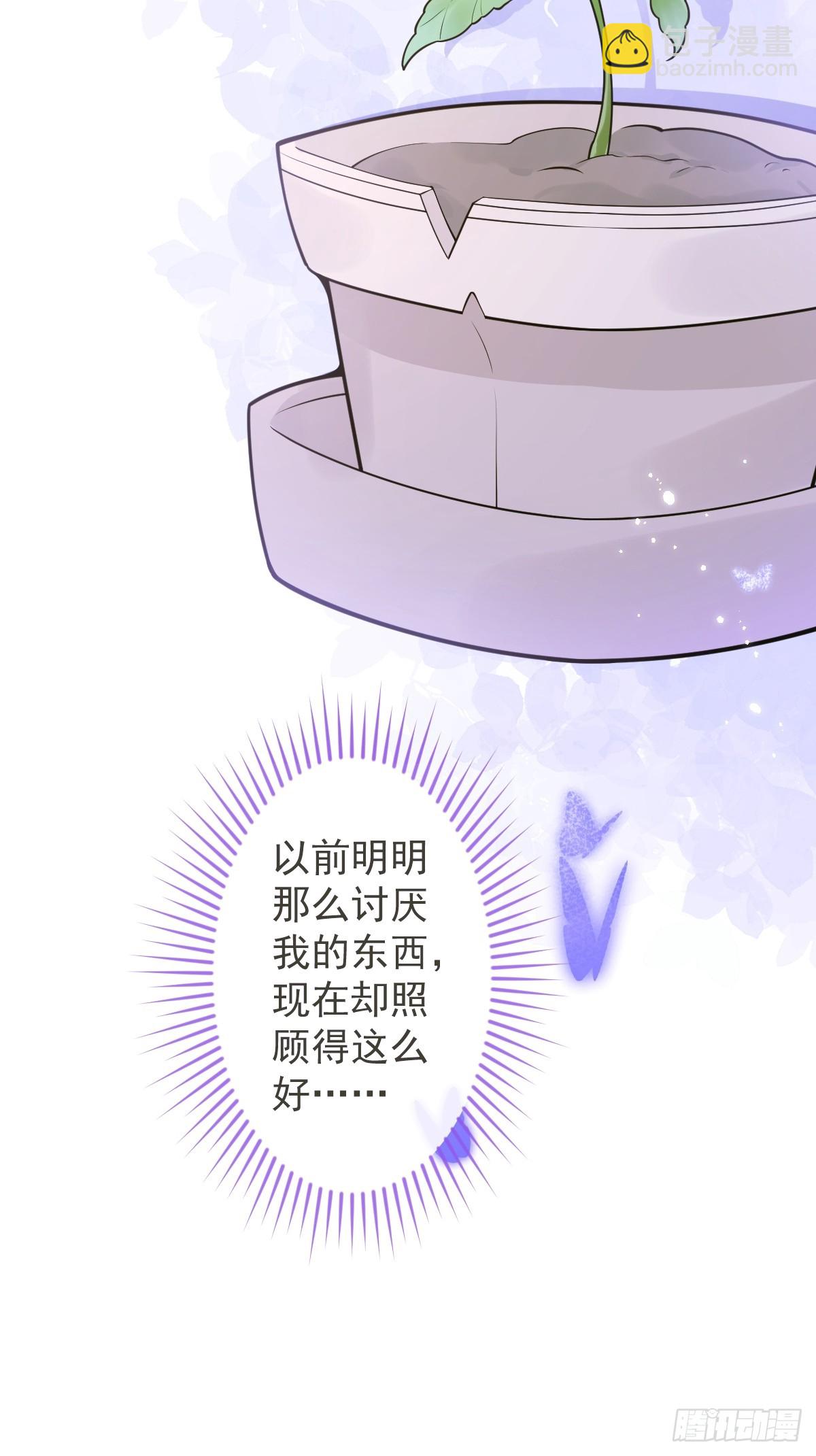 狼的報恩 - 12-花孔雀。 - 8