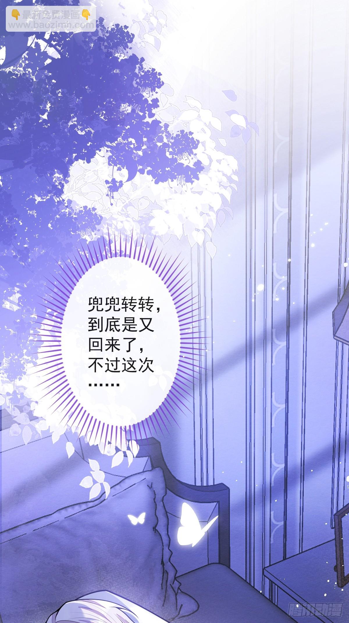 狼的報恩 - 12-花孔雀。 - 1