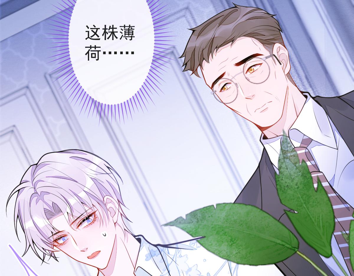 12-花孔雀。(1/3)-第13话