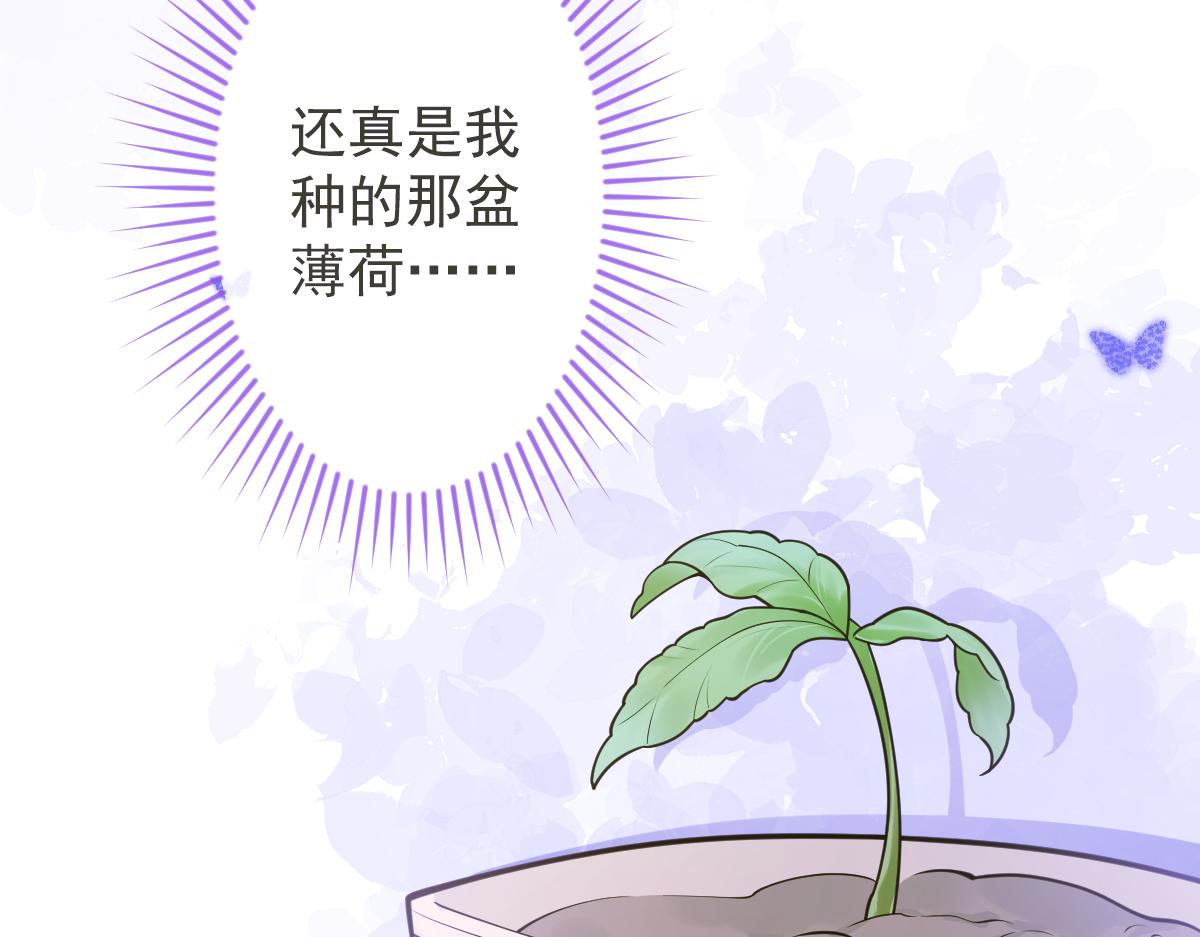 12-花孔雀。(1/3)-第13话