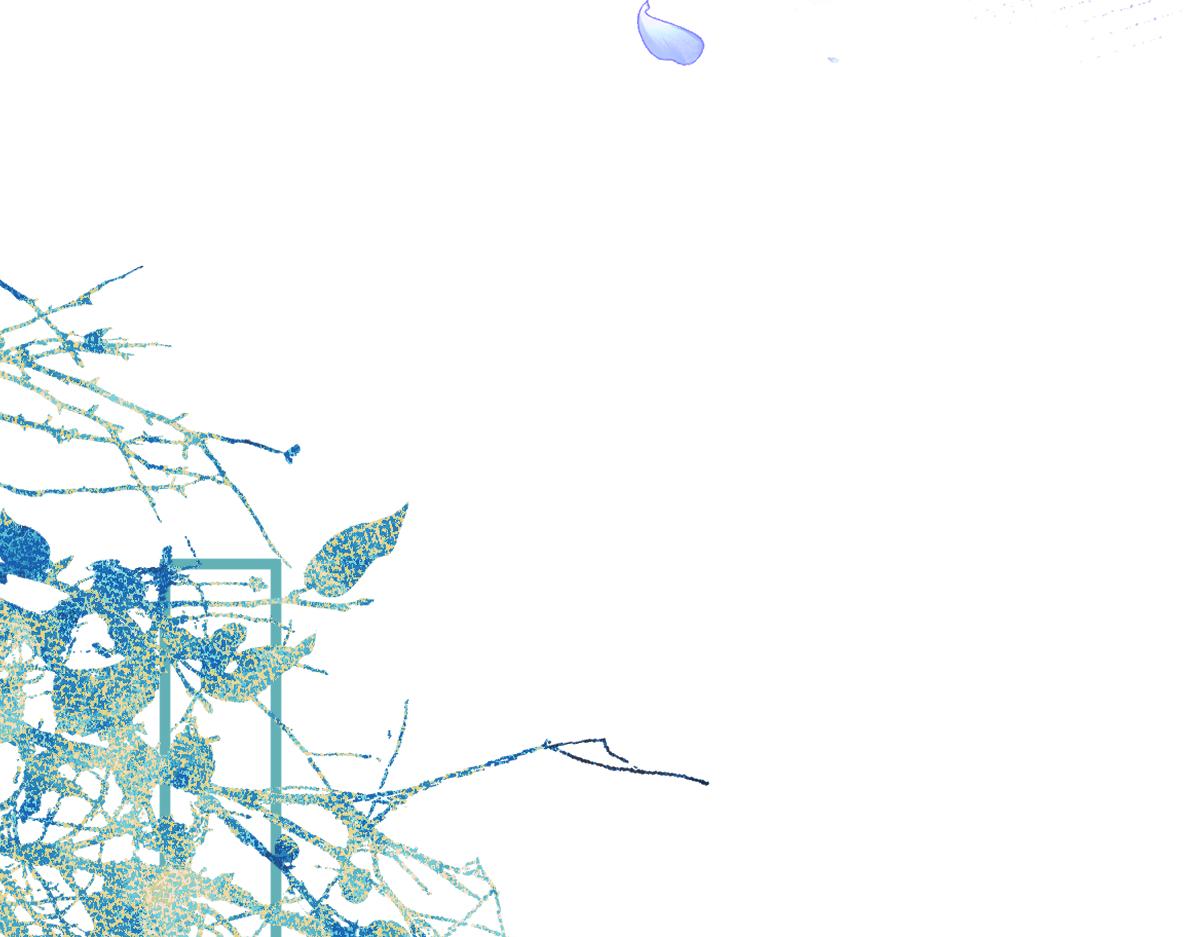 12-花孔雀。(1/3)-第13话