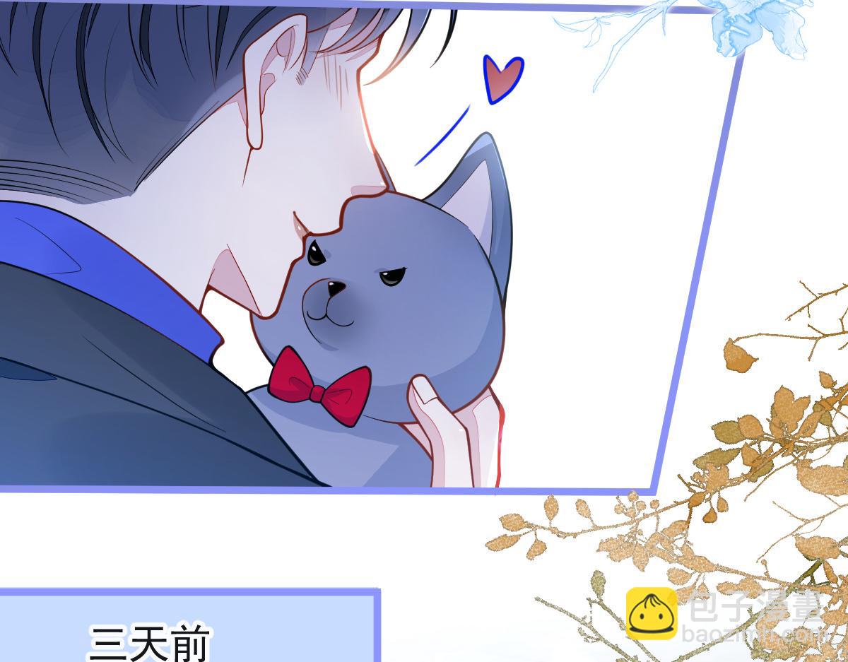 53-追qi火葬场开始(1/3)-第55话