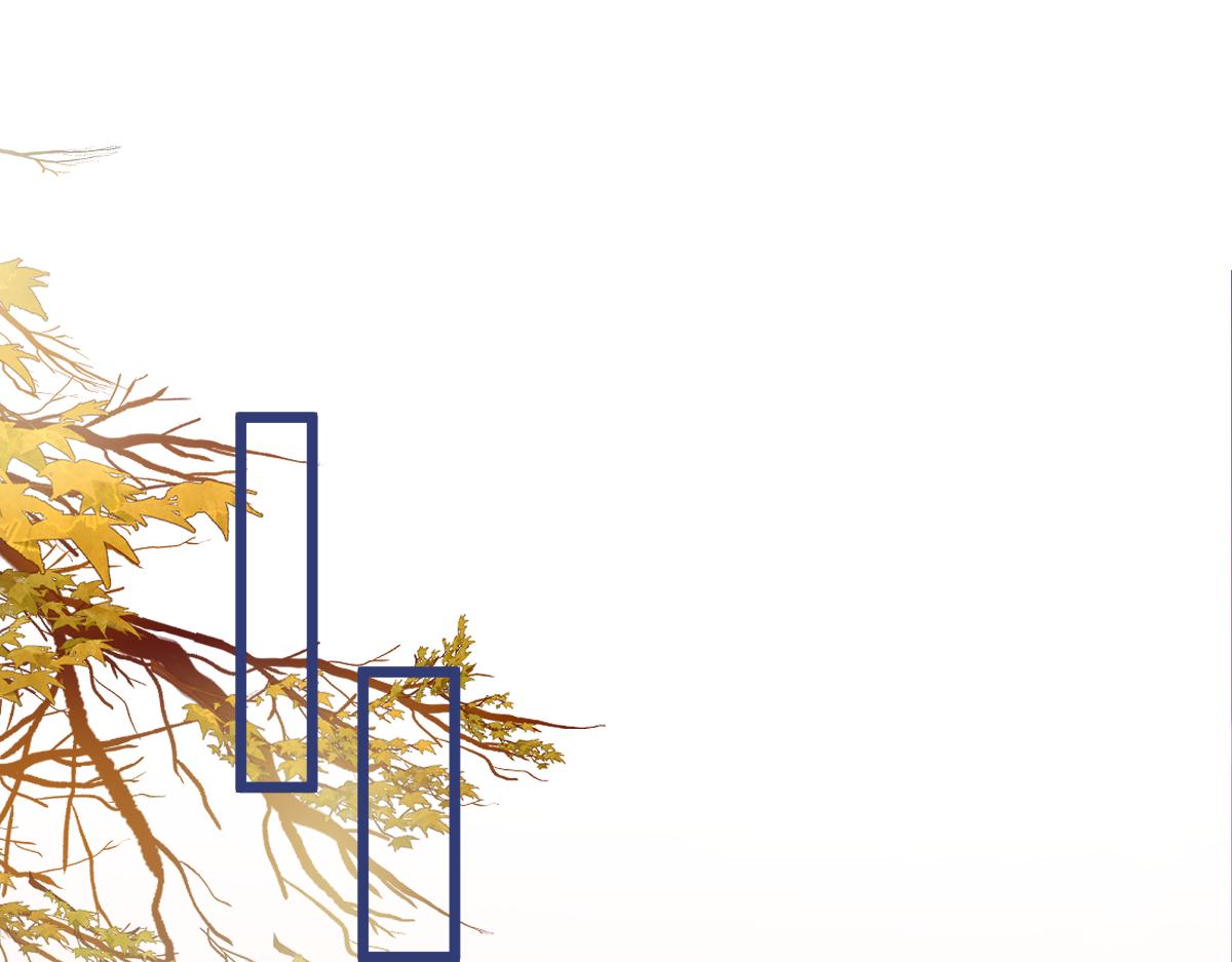 63-我给你名分。(1/3)-第65话