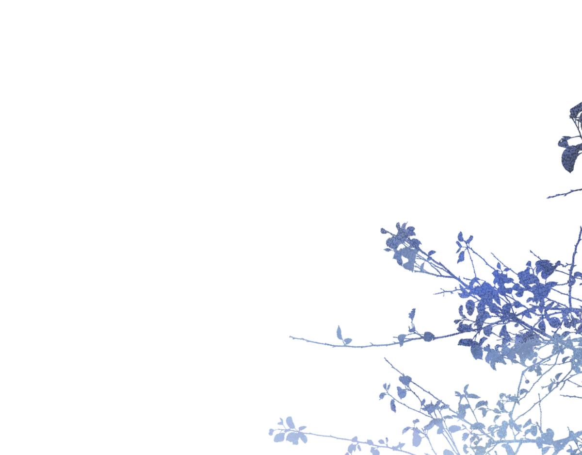 63-我给你名分。(1/3)-第65话