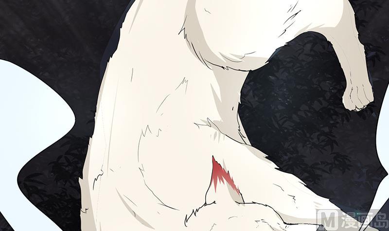 第3话 跟踪校草(1/2)-第3话