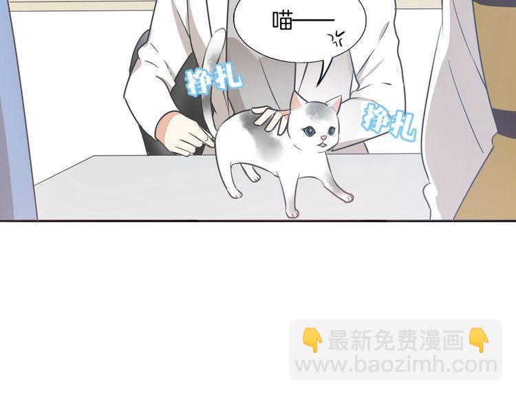 第37话 小团子猫咪(1/2)-第39话