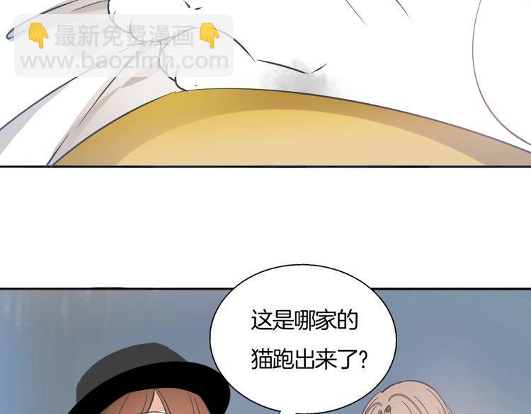 第37话 小团子猫咪(1/2)-第39话