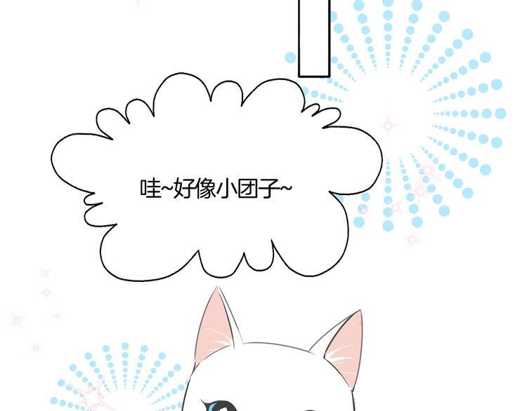 第37话 小团子猫咪(1/2)-第39话