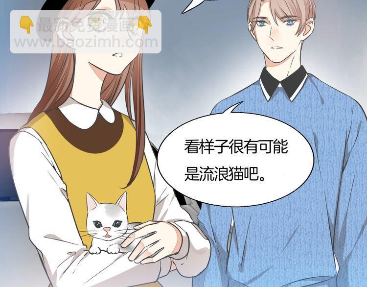 第37话 小团子猫咪(1/2)-第39话