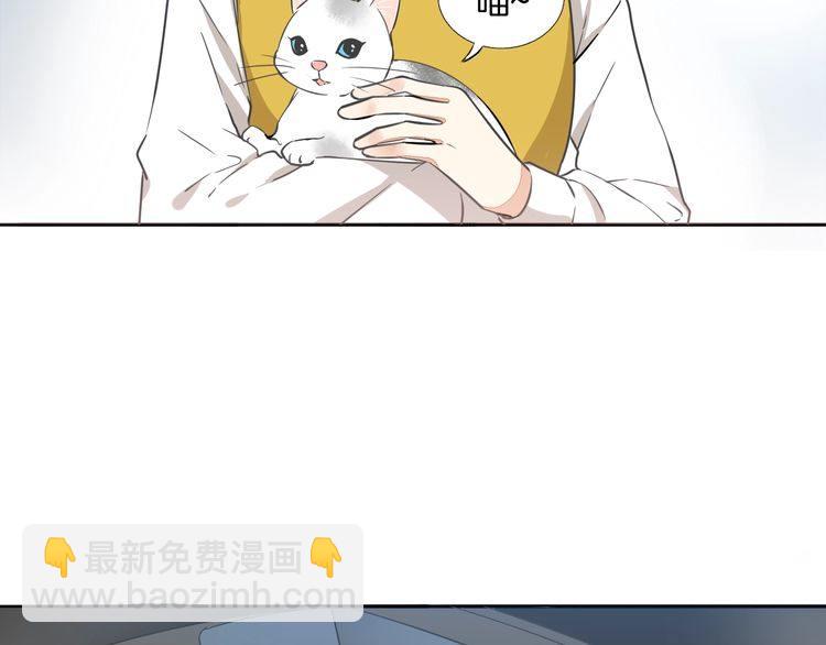 第37话 小团子猫咪(1/2)-第39话