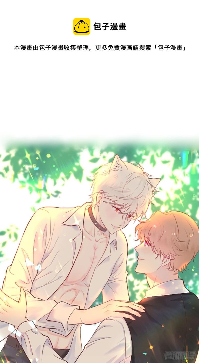 第14话 仔仔被嫌弃了？-第15话