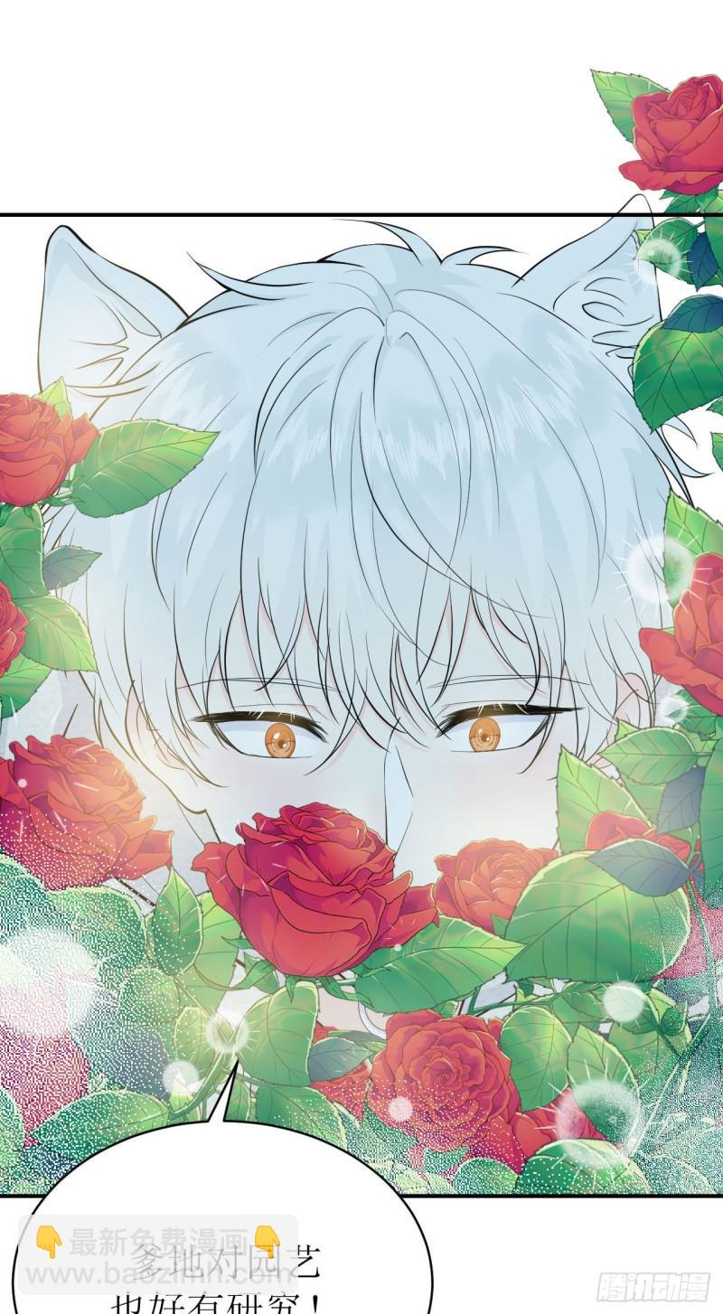 第14话 仔仔被嫌弃了？-第15话