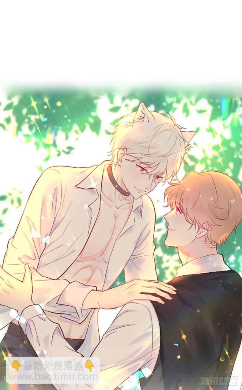 第22话 仔仔想买的东西是？-第23话