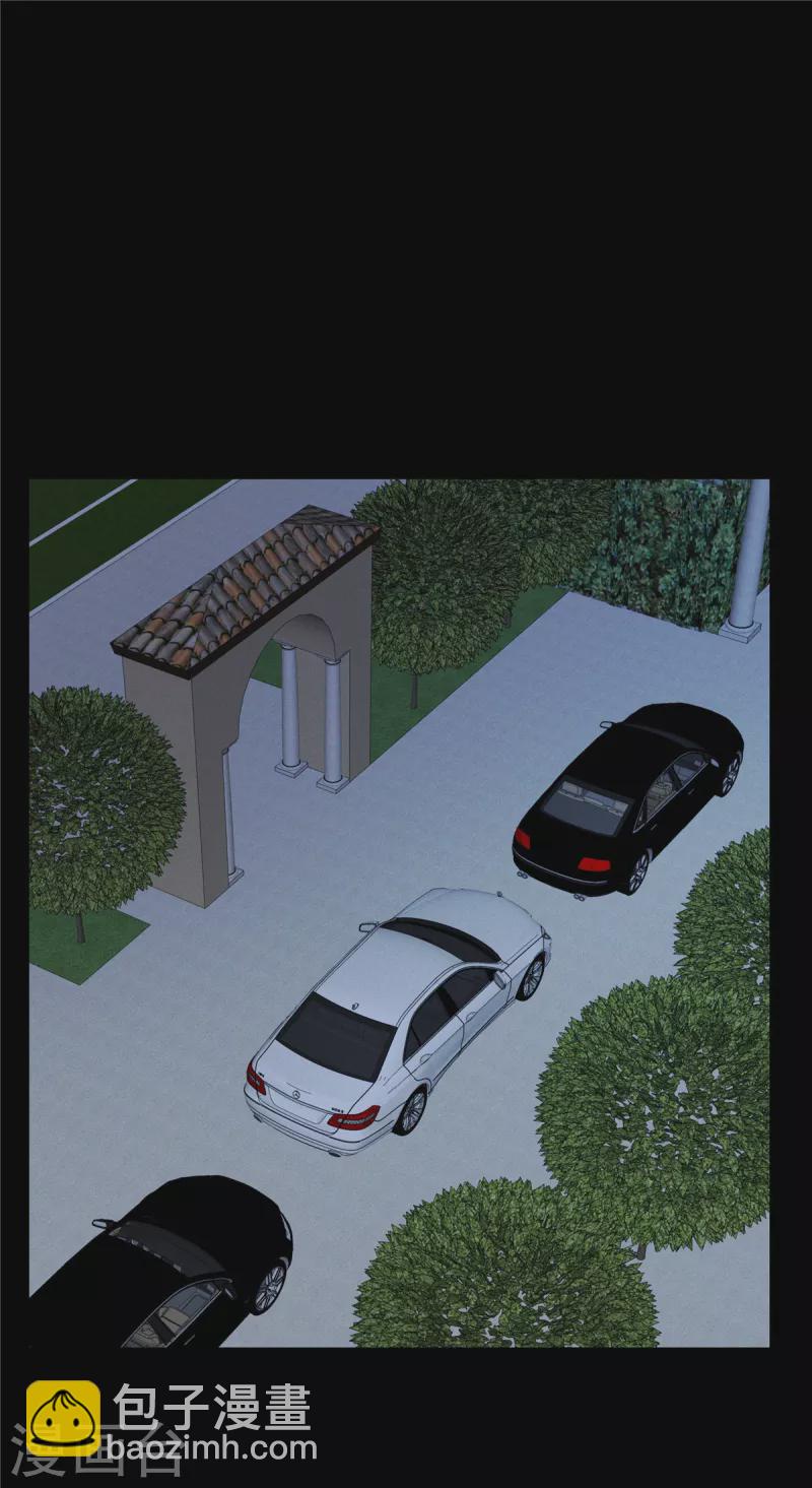 第99话 我要绑架苏家的少爷-第101话