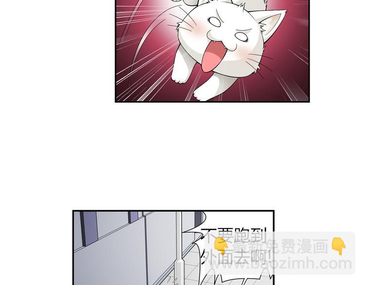 第34话 圆满结束（下）(1/2)-第35话