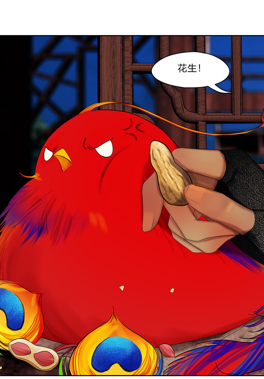 28第十篇 二回 红鹦鹉-第31话