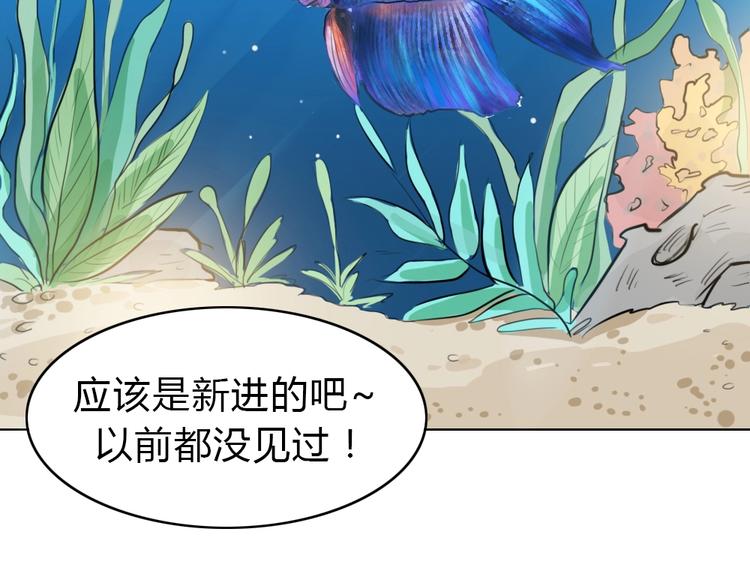 幽蓝白日梦 番外蓝于CP大公开(1/2)-第49话