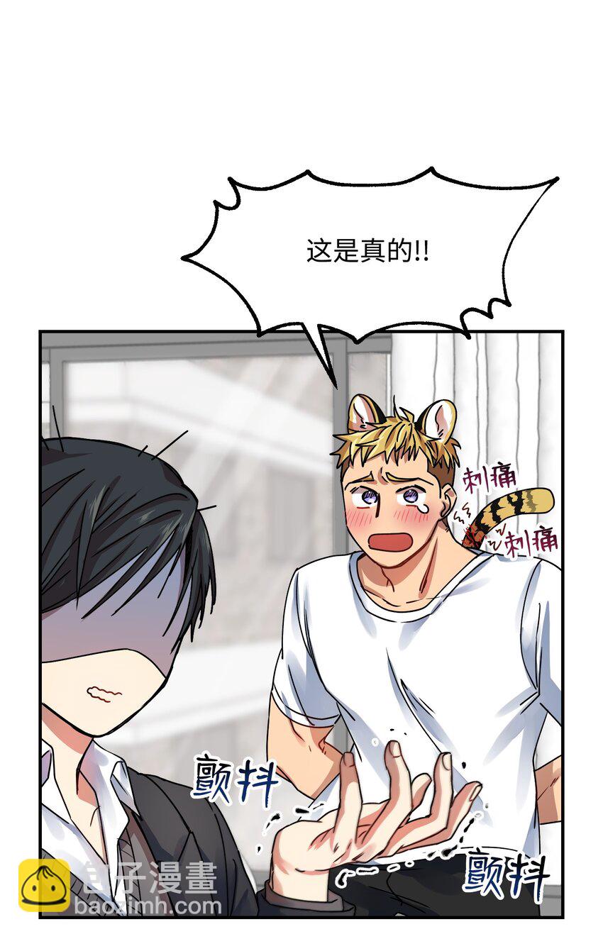 01 两只老虎(1/2)-第1话