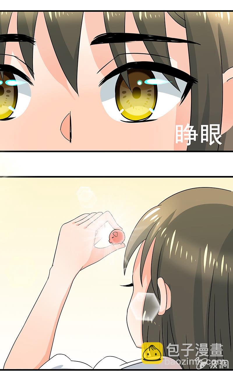 是&ldquo;珠&rdquo;不是&ldquo;猪&rdquo;-第37话