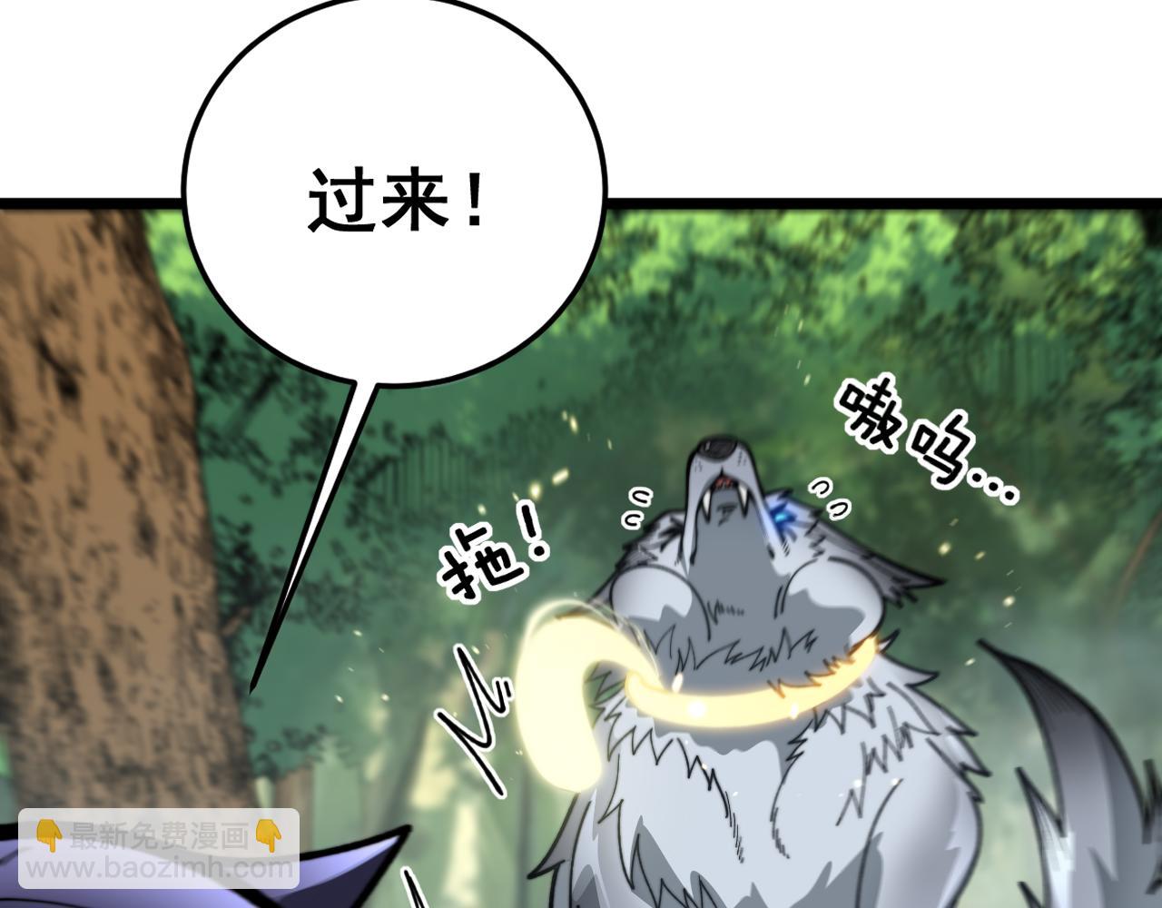 第11回 驯兽圈驯服狼王(1/4)-第11话