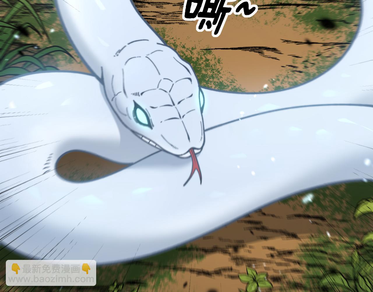 第11回 驯兽圈驯服狼王(1/4)-第11话