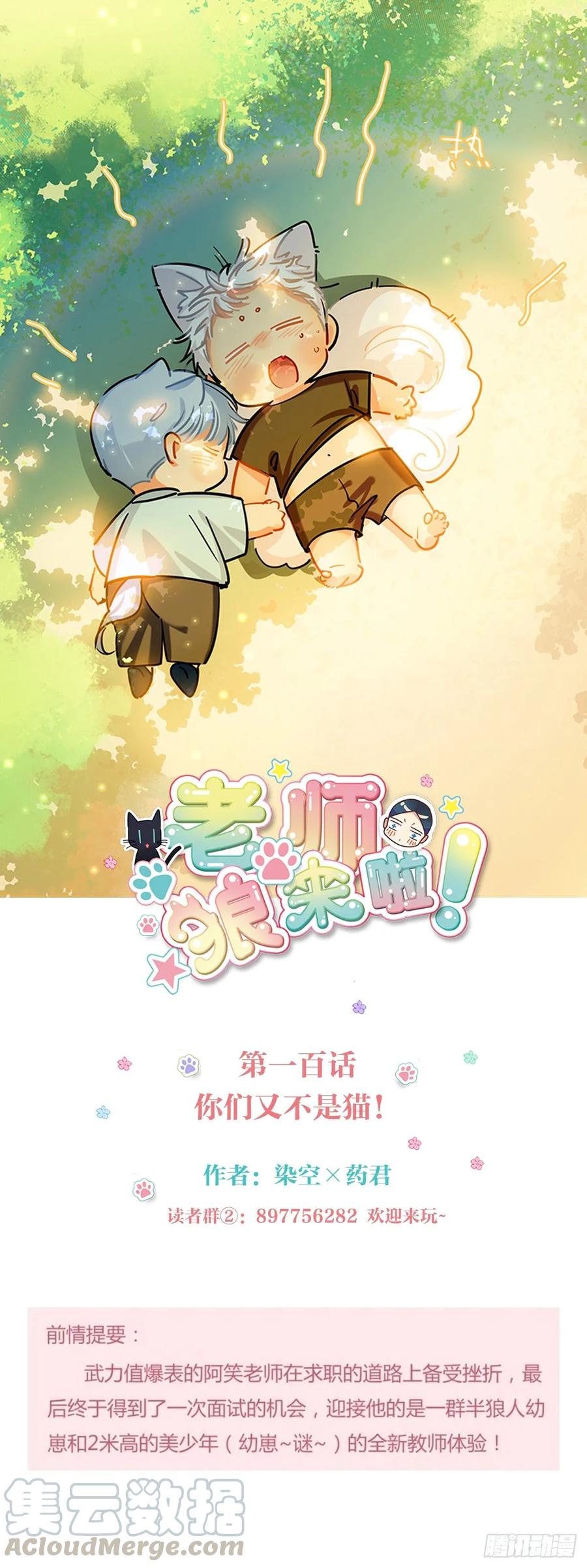 你们又不是猫-第103话