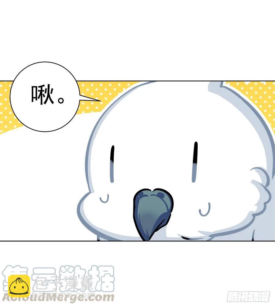 白君的秘密-第105话