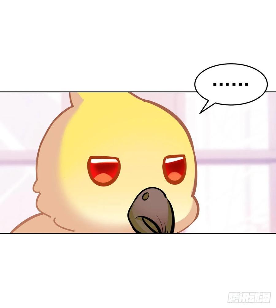 白君的秘密-第105话