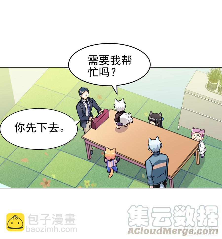 你们不会有兔宝宝了-第37话