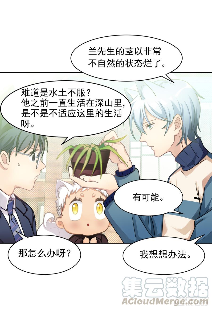 毛毛：和阿笑说？不和阿笑说？-第41话