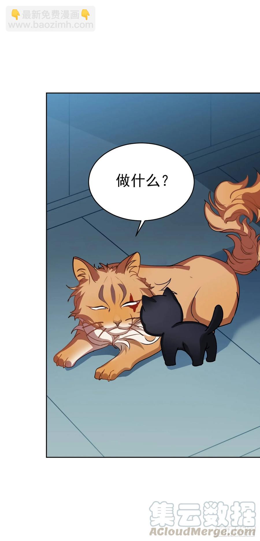 大师失踪的原因（二）-第71话