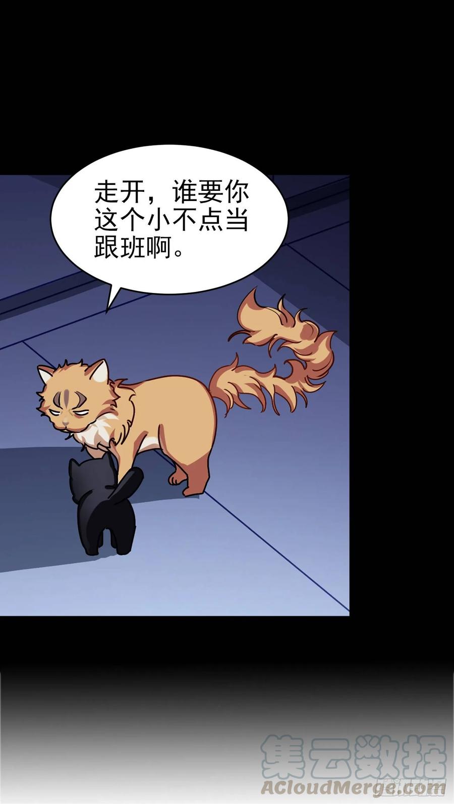 大师失踪的原因（二）-第71话