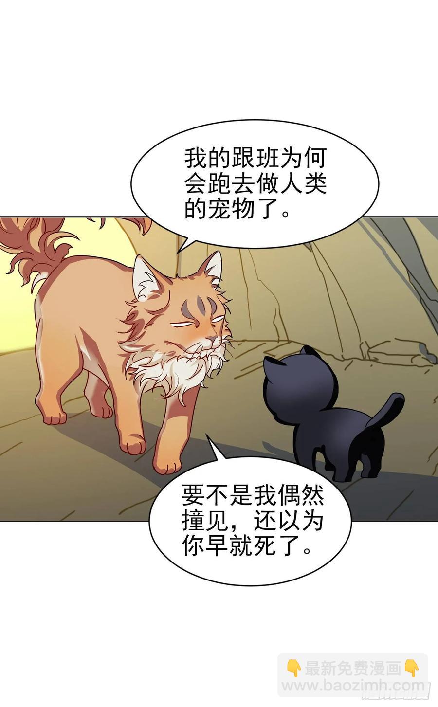 大师失踪的原因（二）-第71话