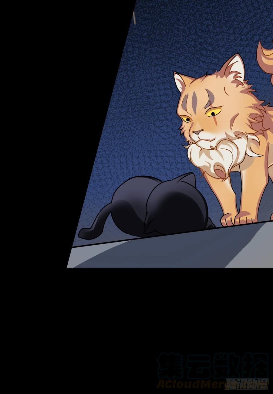 大师失踪的原因（二）-第71话