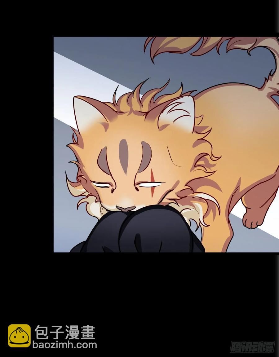 大师失踪的原因（二）-第71话