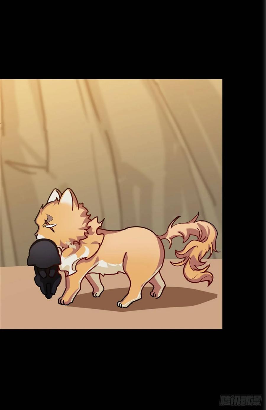 大师失踪的原因（二）-第71话