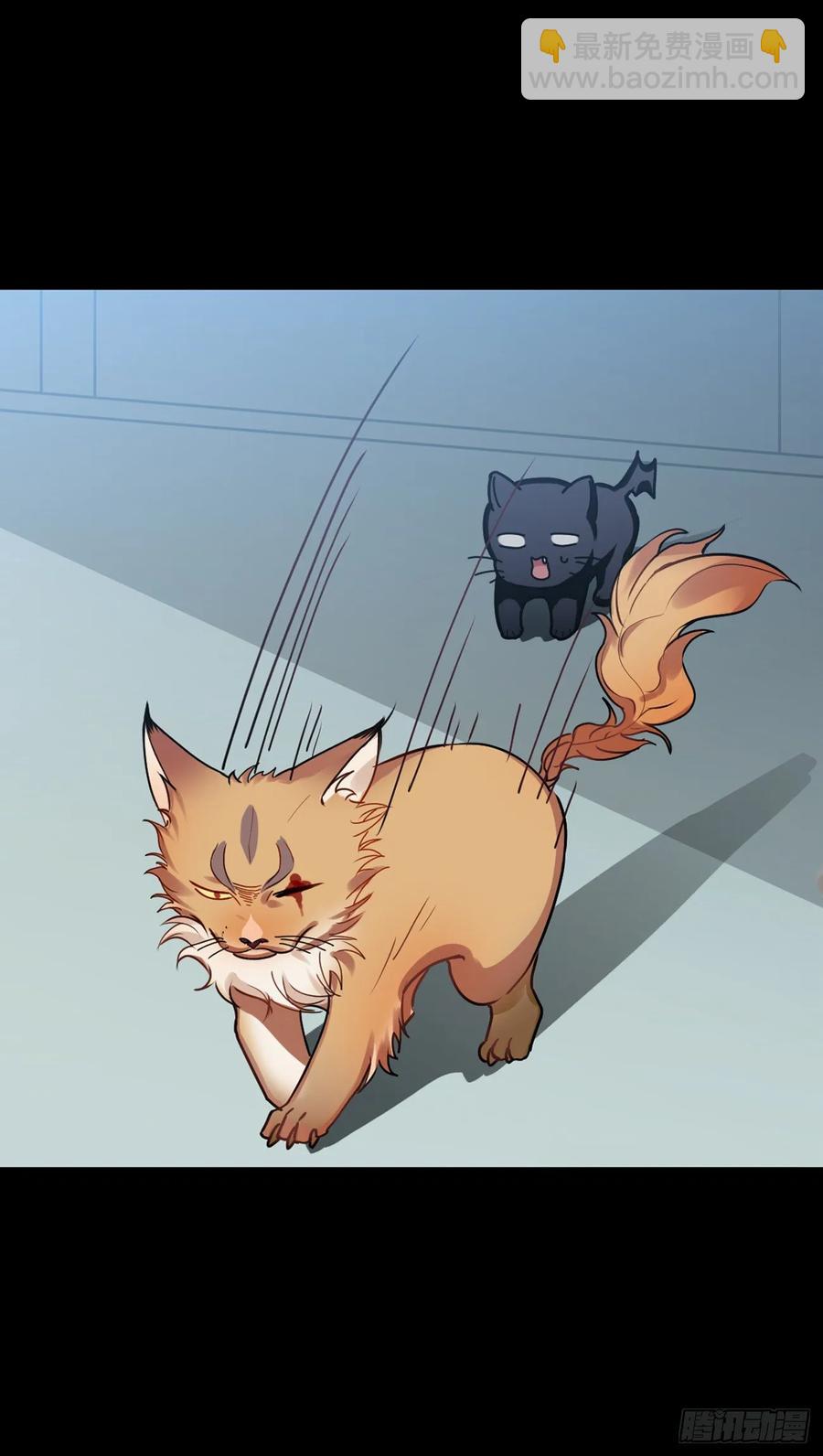 大师失踪的原因（二）-第71话