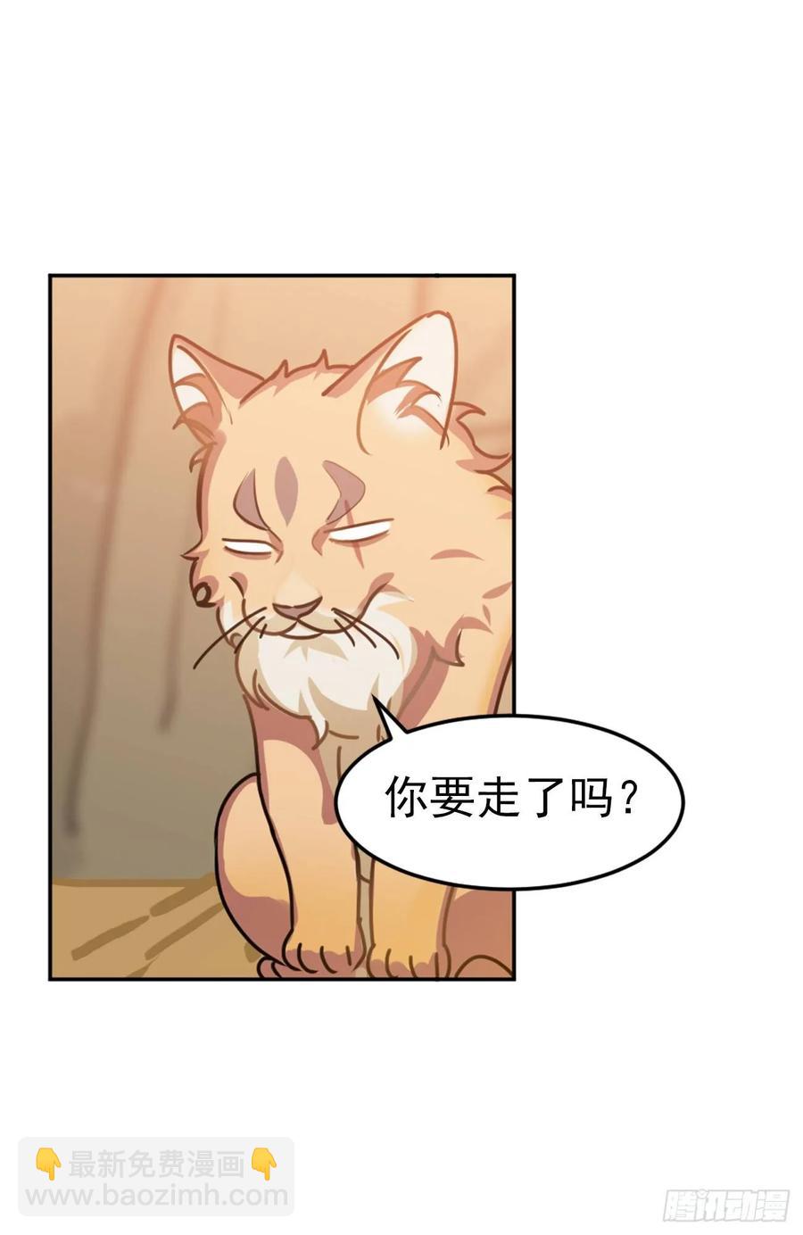 大师失踪的原因（二）-第71话