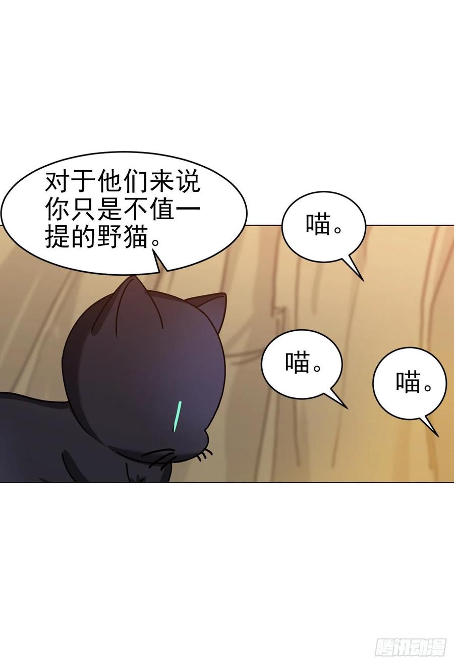 大师失踪的原因（二）-第71话