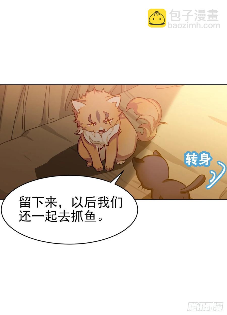 大师失踪的原因（二）-第71话