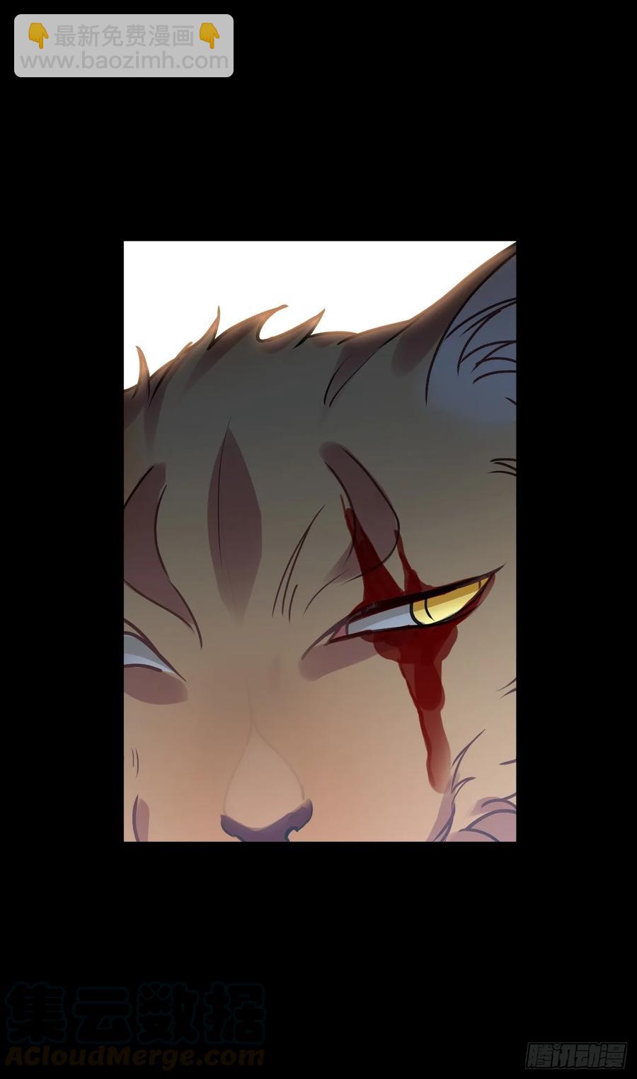 大师失踪的原因（二）-第71话