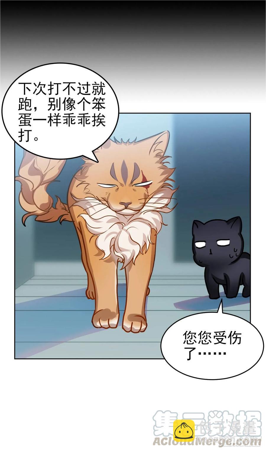 大师失踪的原因（二）-第71话