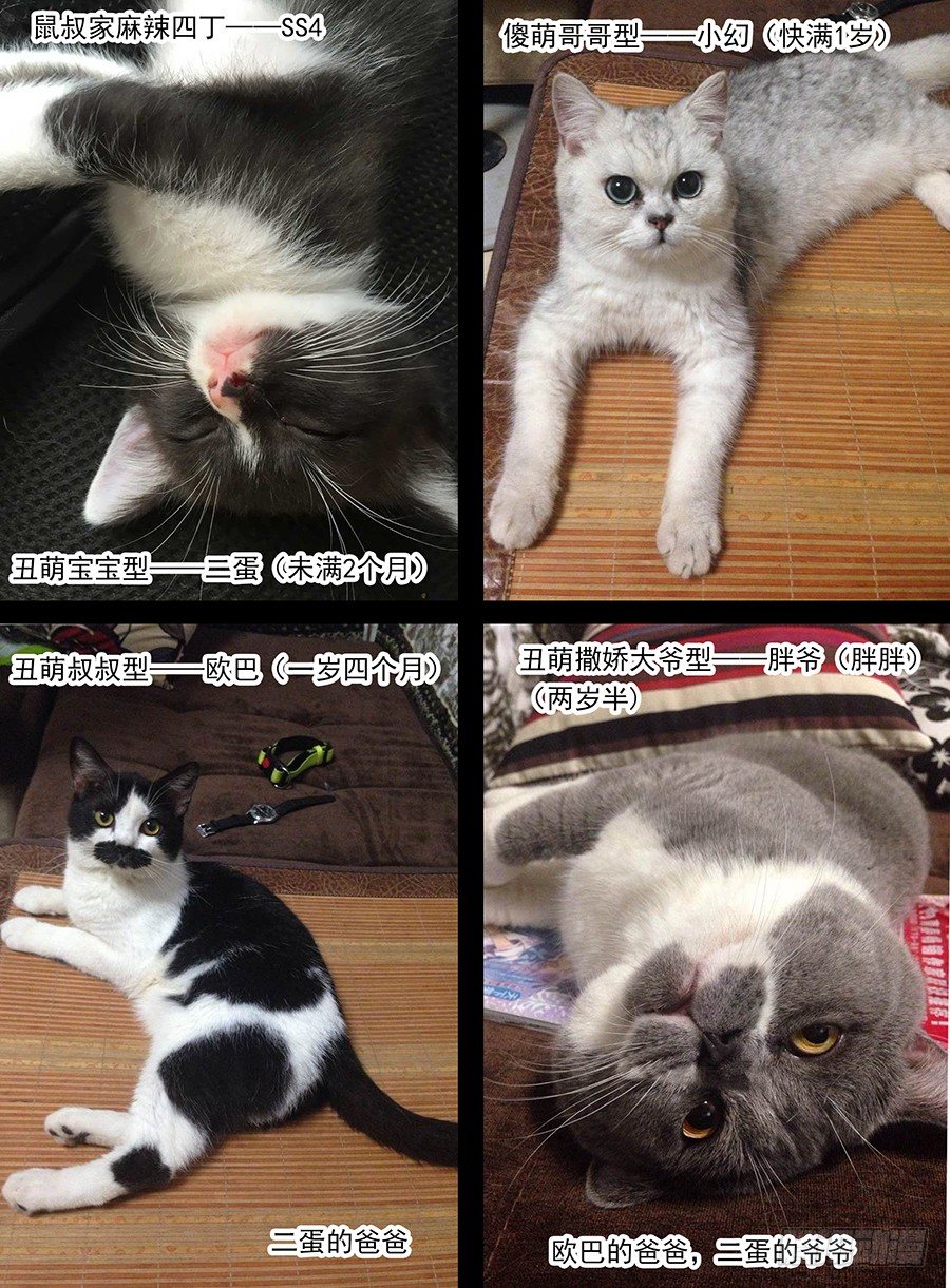 32.青焰映照下的人-第33话